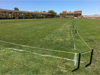Driving Range 1